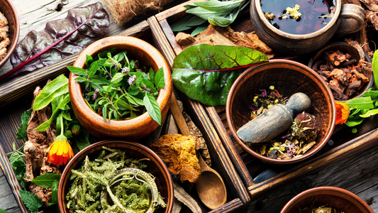 herbs 