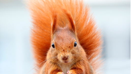 Cruelty-Free Skincare: What It Means and Why It Matters